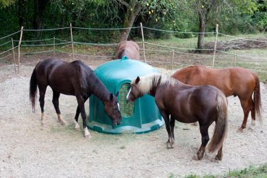 Rotationsformteile, Rotomolding, Behälter, Futterspender, Heuspender, Pferdezucht